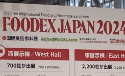 写真 2024-03-06 11 20 32 (1)