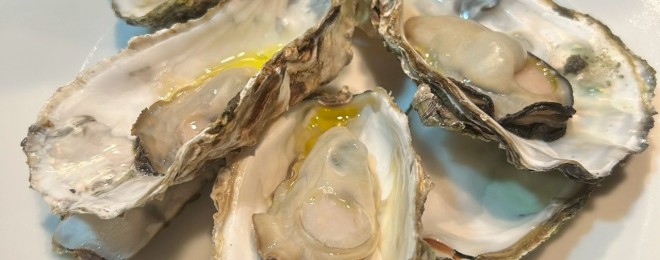 写真 2025-10-20 19 34 32