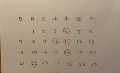 写真 2025-11-30 17 31 24