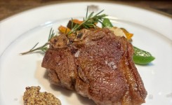 写真 2026-02-21 15 35 01