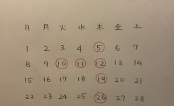 写真 2026-02-28 10 29 35